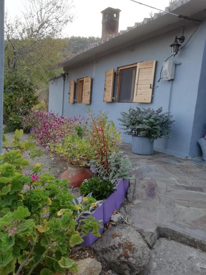 Myrovolos Villa Armenistis  Exterior photo